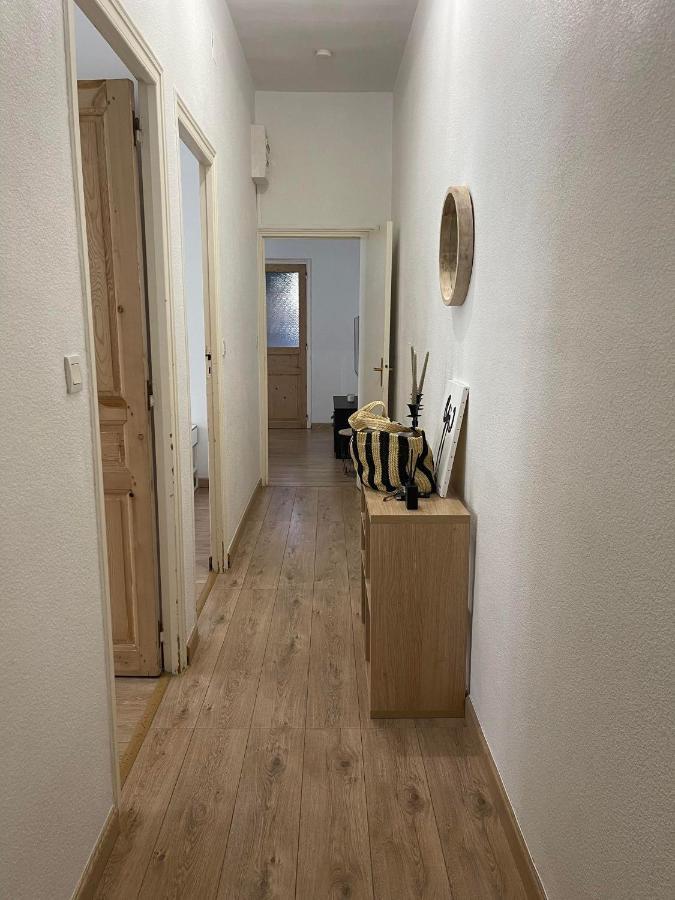 Cosy Nid Douillet Au Coeur Du Centre Ville De 佩皮尼昂 外观 照片